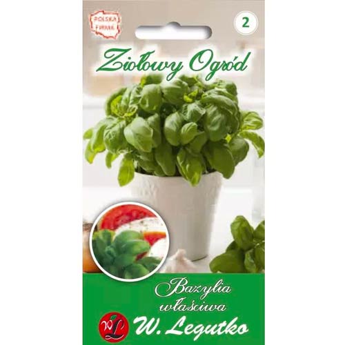 Zaļās lapas baziliks Legutko interface.image 1 interface.art 50126