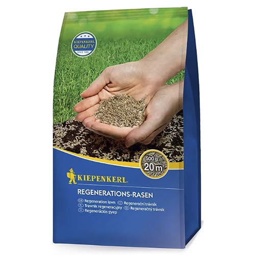 Zāliena sēklas, dārza atjaunināšanas zāle interface.image 1 interface.art 96891