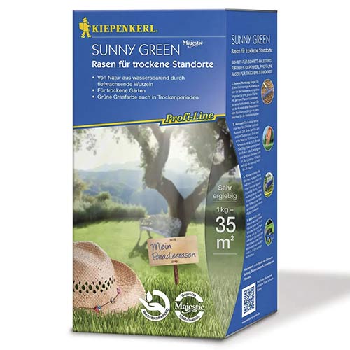 Zāliena sēklas, Sunny Green, sausām vietām interface.image 1 interface.art 96906