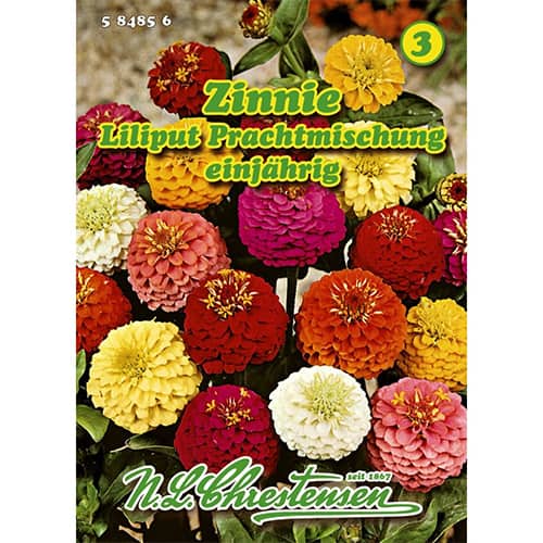 Zemās cinnijas Prachtmischung interface.image 1 interface.art 87823