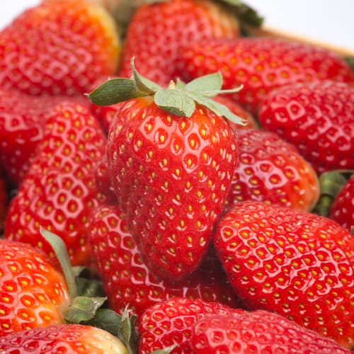 Zemenes Alba interface.image 1 interface.art 5391