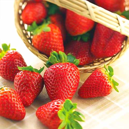 Zemenes Albion interface.image 1 interface.art 5392