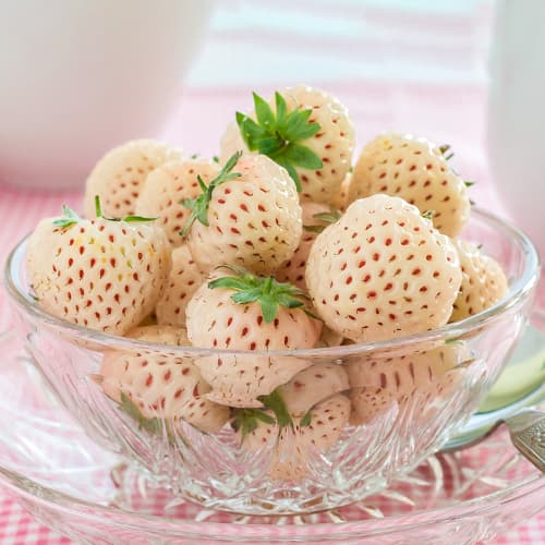 Zemenes Ananas interface.image 1 interface.art 5192