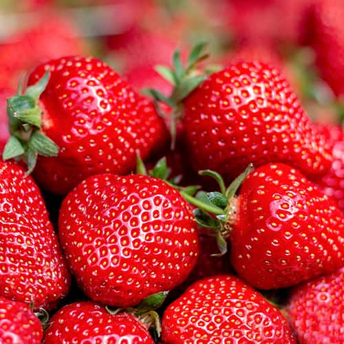 Zemenes Florence interface.image 1 interface.art 5400