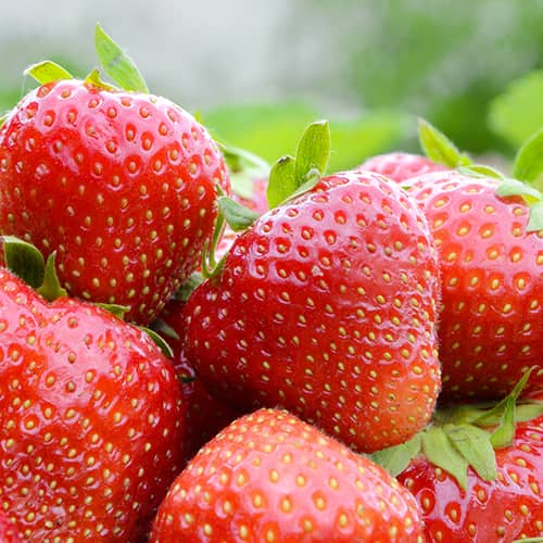 Zemenes Korona interface.image 1 interface.art 15831