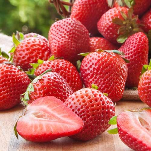 Zemenes Malling Centenary interface.image 1 interface.art 1584_1