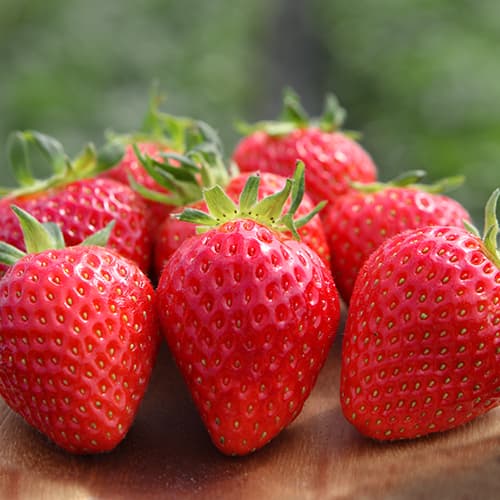 Zemenes Vima Xima interface.image 1 interface.art 5205