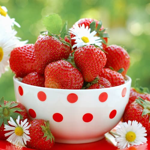 Zemenes Vima Zanta interface.image 1 interface.art 5415