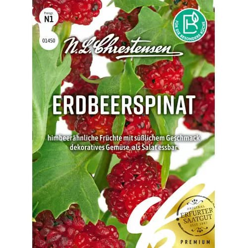 Zemeņu spināti interface.image 1 interface.art 96472