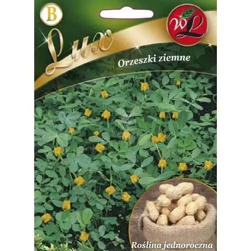 Zemesrieksti Legutko interface.image 1 interface.art 78667