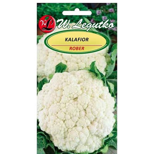 Ziedkāposti Rober interface.image 1 interface.art 86870