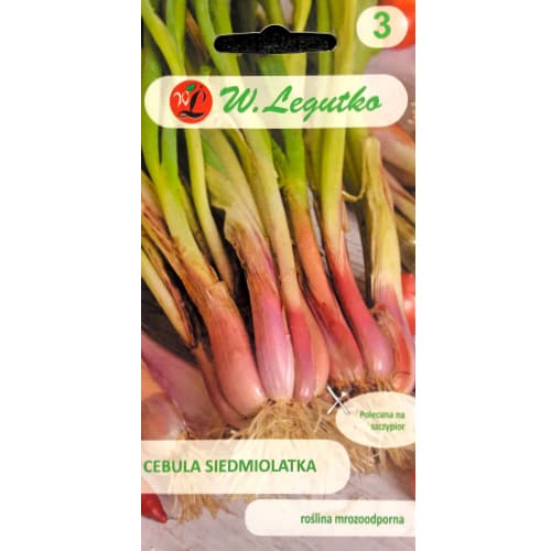 Ziemas ligzdas sīpols interface.image 1 interface.art 78451