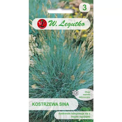 Zilā auzene zils Legutko interface.image 1 interface.art 78568