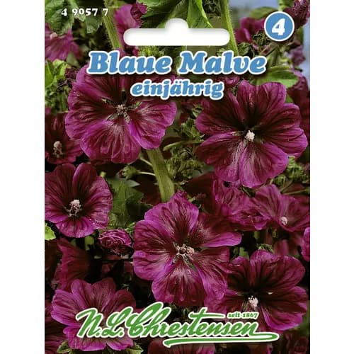 Zilas kāršrozes (štokrozes) interface.image 1 interface.art 96403