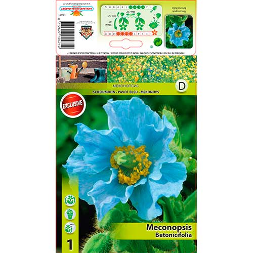 Himalaju zilās magones interface.image 1 interface.art 76586