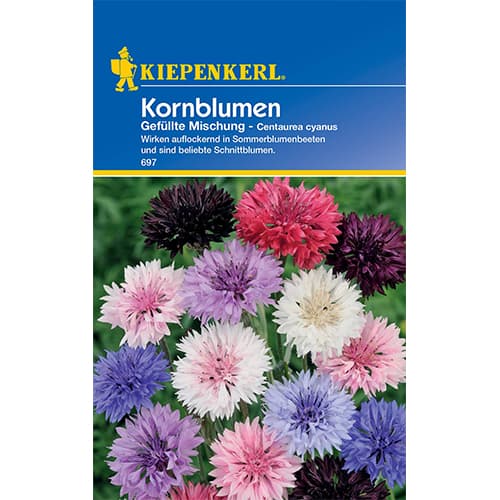 Zilās rudzupuķes,maisījums Kiepenkerl interface.image 1 interface.art 50062