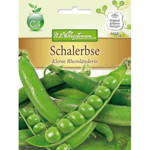 Zirnīši Kleine Rheinlanderin interface.image 1 interface.art 78842