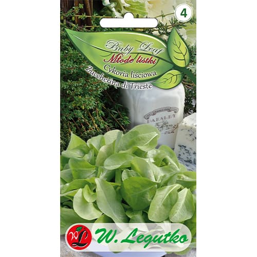 Zuccherina di Trieste lapu cigoriņi - Baby Leaf interface.image 1 interface.art 86705