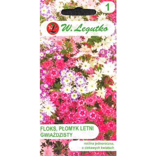 Zvaigžņu floksis, jaukt interface.image 1 interface.art 69588