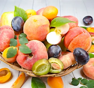 Kolonveida augļu koki