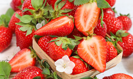 Medains prieks | GradinaMax