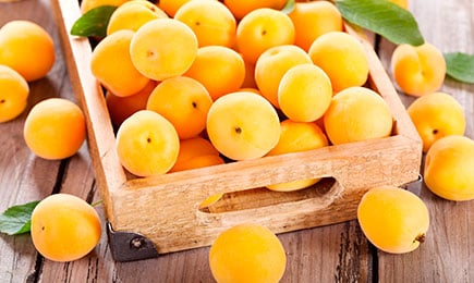 Medus garša | GradinaMax