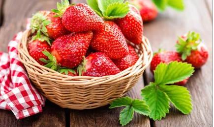 Neparasts deserts | GradinaMax