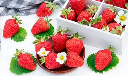 Neparasts deserts | GradinaMax