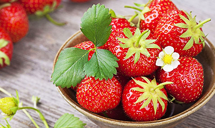 Saldā laime | GradinaMax