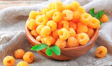 Saldās ogas | GradinaMax