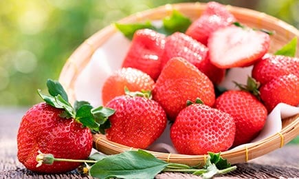 Saldā laime | GradinaMax