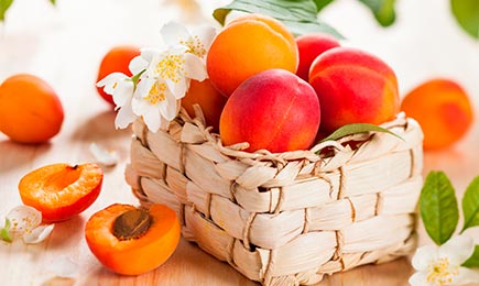 Sulīgs gardums | GradinaMax