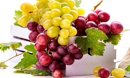 Vīnogu stādu šopings | GradinaMax